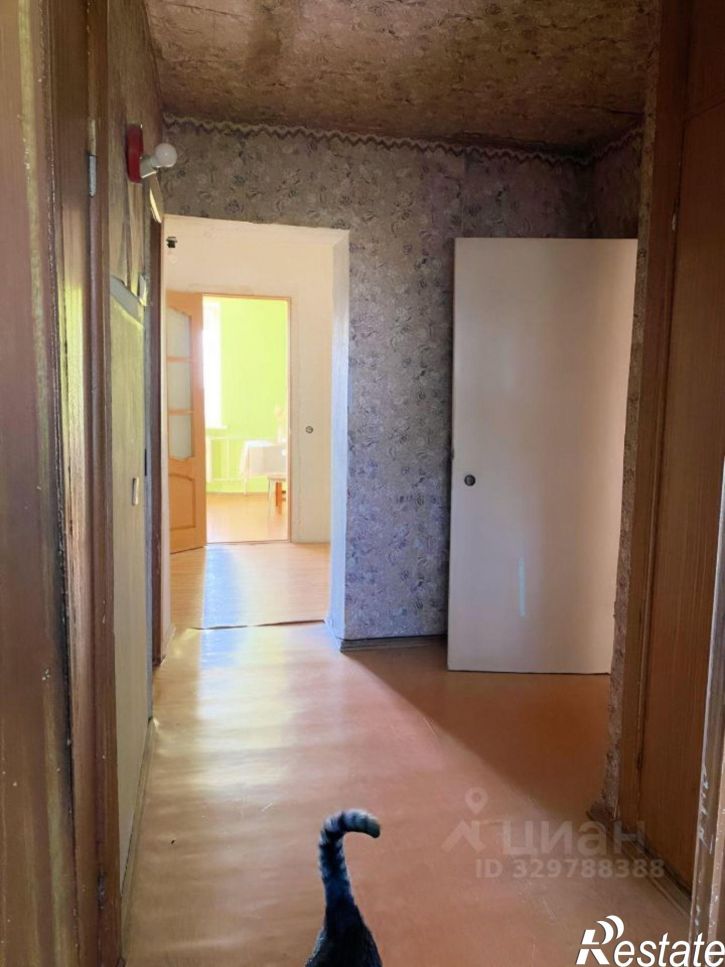 3-комн квартира улица Макаровского, 37,  д. 37