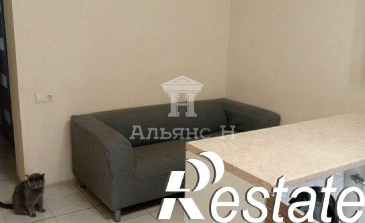 1-комн квартира Кагальницкое шоссе, 30Е,  д. 30Е